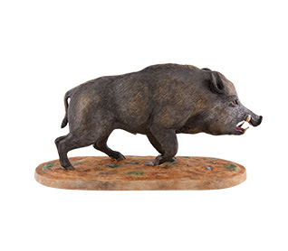 Animais Caça