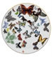 Picture of Butterfly Parade - Dessert Plate