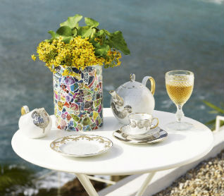 Paseo e Bicos Incolor