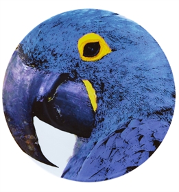 Olhar o Brasil - Charger Plate Blue Macaw