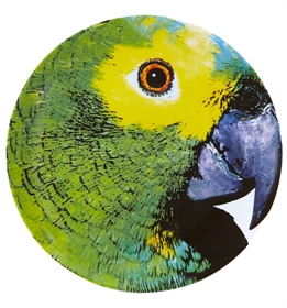 Olhar o Brasil - Prato Marcador Papagaio